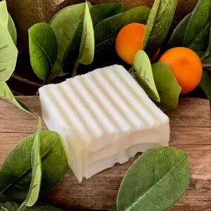 Balsam Fir and Orange Tallow Soap