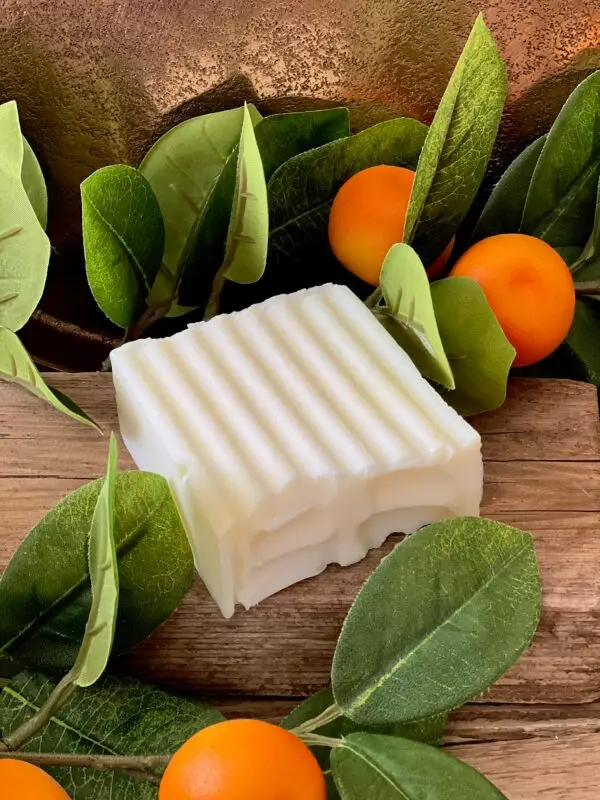 Balsam Fir and Orange Tallow Soap