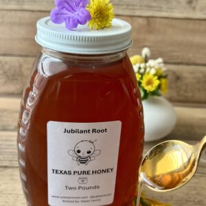 Local Raw Texas Honey 2lbs