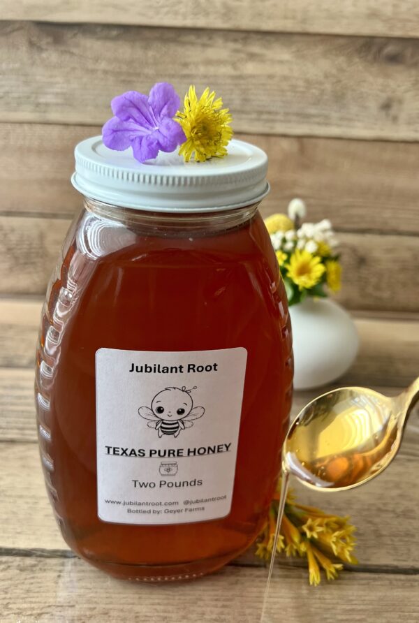 Local Raw Texas Honey 2lbs